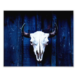 Bison Skull Foto Afdruk