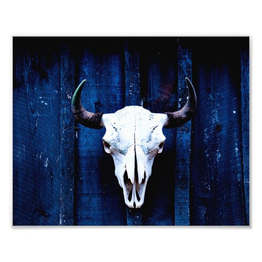 Bison Skull Foto Afdruk (Voorkant)