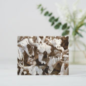 Bison skulls briefkaart (Staand voorkant)