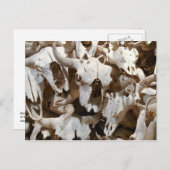 Bison skulls briefkaart (Voorkant / Achterkant)
