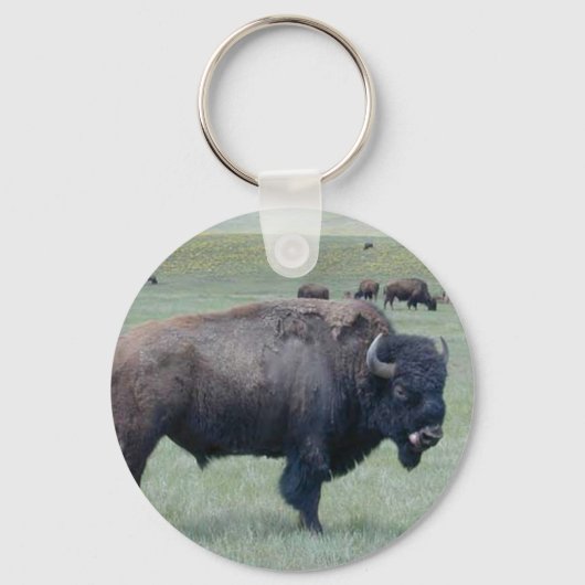 Bison Sleutelhanger (Voorkant)