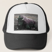Bison Trucker Pet (Voorkant)