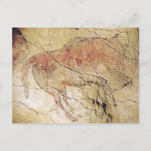 Bison uit de grotten bij Altamira, c.15000 BC Briefkaart
