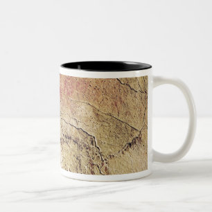 Bison uit de grotten bij Altamira, c.15000 BC Tweekleurige Koffiemok
