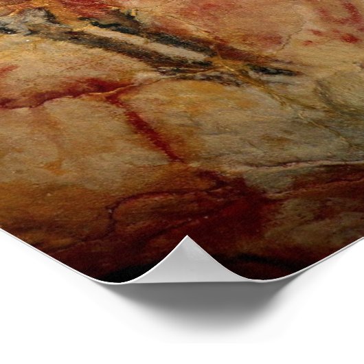 Bison van vrouw op Altamira Poster (Hoek)