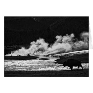 Bison vapeur - Carte