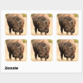 Bison Vierkante Sticker (Vel)