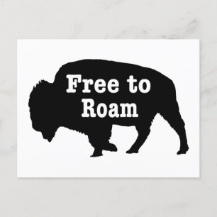 Bison vrij om te roamen briefkaart
