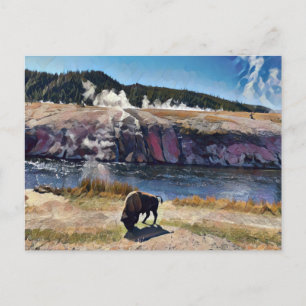 Bison Wyoming Yellowstone Wildlife Art Briefkaart
