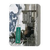 BIson, Yellowstone Entrance, Gardiner, MT Magneet (Verticaal)