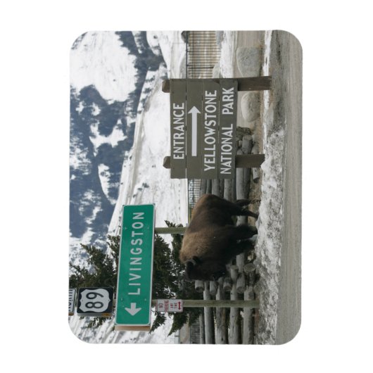BIson, Yellowstone Entrance, Gardiner, MT Magneet (Verticaal)