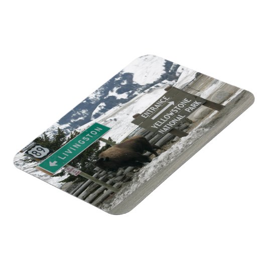 BIson, Yellowstone Entrance, Gardiner, MT Magneet (Linkerzijde)