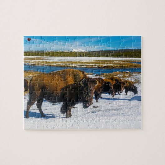 Bison Yellowstone Wyoming Legpuzzel (Horizontaal)