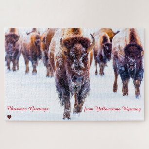 Bison Yellowstone Wyoming Legpuzzel