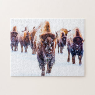 Bison Yellowstone Wyoming. Legpuzzel