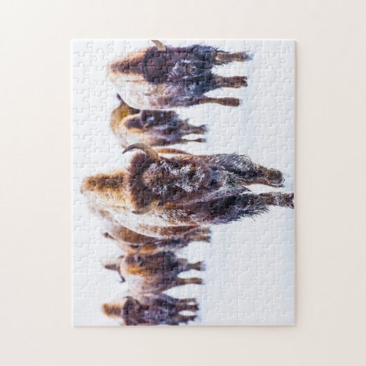 Bison Yellowstone Wyoming. Legpuzzel (Verticaal)