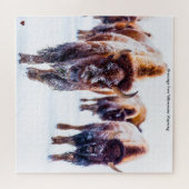Bison Yellowstone Wyoming Puzzle (Horizontal)