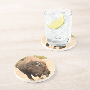 Bison Zandsteen Onderzetter