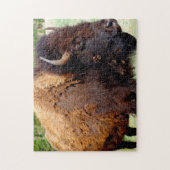 Bisson Montana. Legpuzzel (Verticaal)