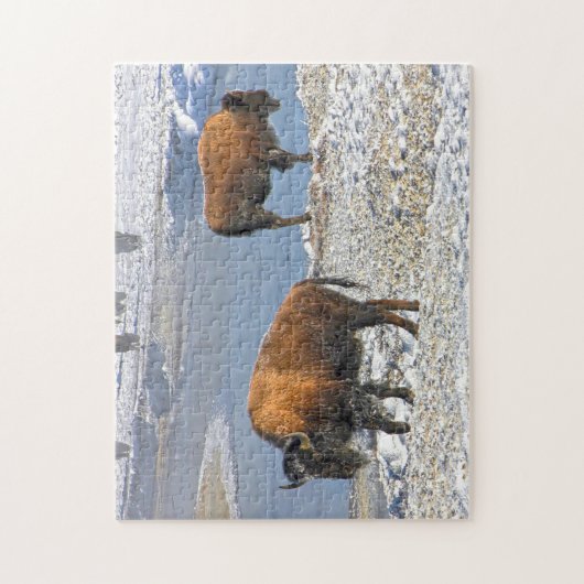 Bisson Montana. Legpuzzel (Verticaal)