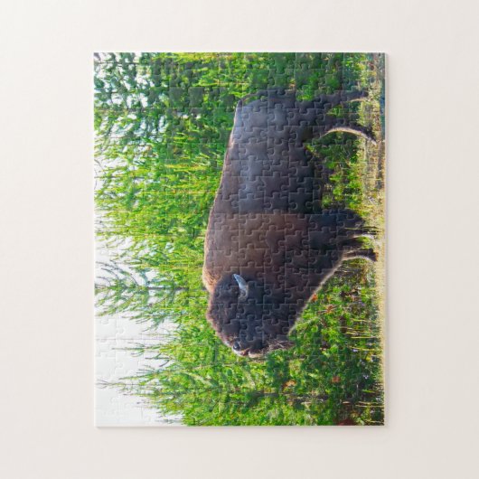 Bisson Montana. Legpuzzel (Verticaal)