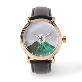 Bitcoin All-Time-High (ATH) Horloge