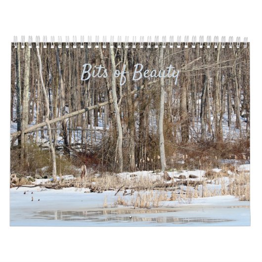 Bits van Beauty Calendar Kalender (Hoes)