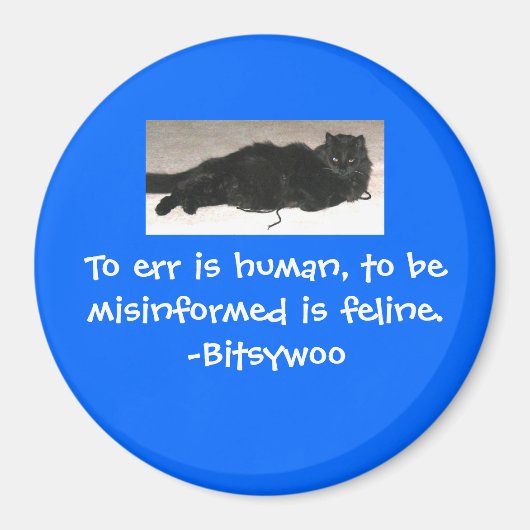 Bitsywoo Core Philosophy Magnet (Devant)