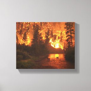Bitterroot National Park Forest Fire Canvas Afdruk