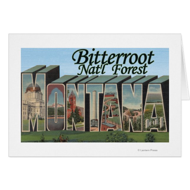 Bitterroot Nat'l Forest, Montana (Voorkant Horizontaal)