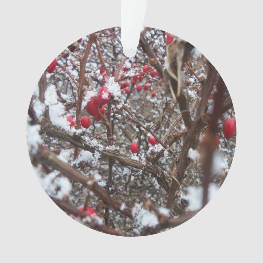 Bitterzoete Berries Ornament (voorkant)