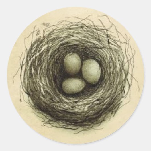 Bitty Bird Nest Ronde Sticker (Voorkant)