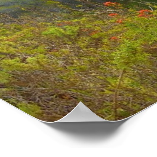 Bixby Bridge Poster (Hoek)