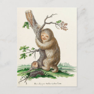 Bizarre vintage luiaardillustratie briefkaart