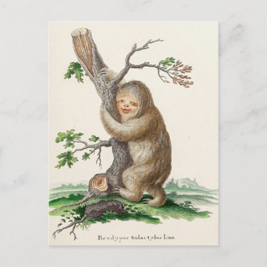 Bizarre Vintage Sloth Illustration Briefkaart (Voorkant)