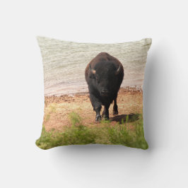 Bizon aan het water kussen