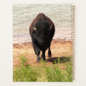 Bizon aan het water planner (Achterkant)