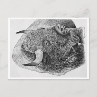 Bizon Briefkaart
