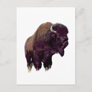 Bizon Buffalo Briefkaart
