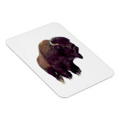 Bizon Buffalo  Magneet (Rechterzijde)