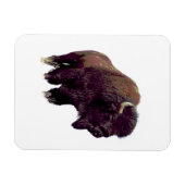 Bizon Buffalo  Magneet (Horizontaal)