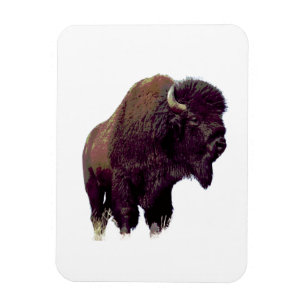 Bizon Buffalo  Magneet