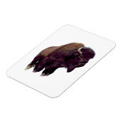 Bizon Buffalo  Magneet (Linkerzijde)