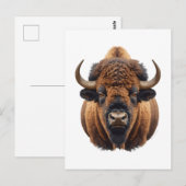 Bizon / Buffel Briefkaart (Voorkant / Achterkant)
