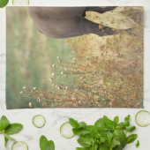 Bizon foto theedoek (Gevouwen)