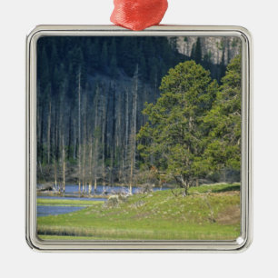 Bizon met kalf in Yellowstone National Park Metalen Ornament