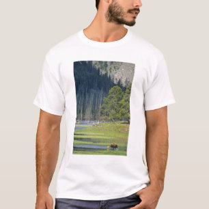 Bizon met kalf in Yellowstone National Park T-shirt