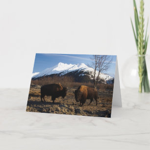 Bizon tet-a-Tet Kaart