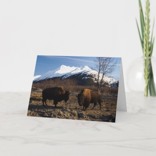 Bizon tet-a-Tet Kaart (Voorkant)