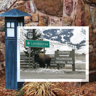 Bizon, Yellowstone-ingang, Gardiner, MT Briefkaart